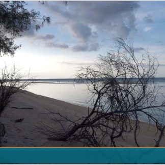 Sanur → Gili Meno (One Way)