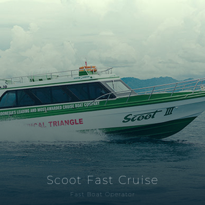 Scoot Fast Cruise